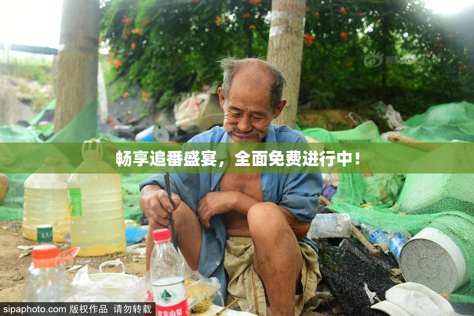 畅享追番盛宴，全面免费进行中！