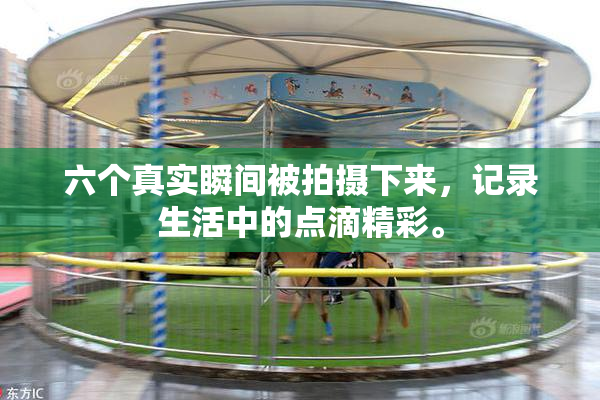 六个真实瞬间被拍摄下来，记录生活中的点滴精彩。