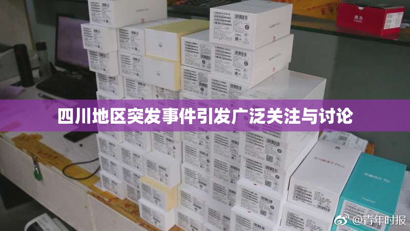 四川地区突发事件引发广泛关注与讨论
