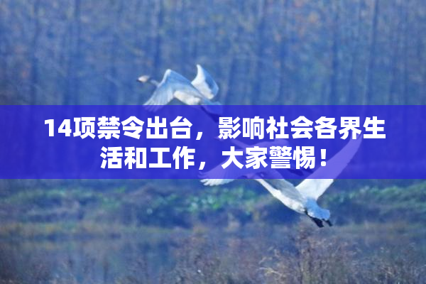 14项禁令出台，影响社会各界生活和工作，大家警惕！