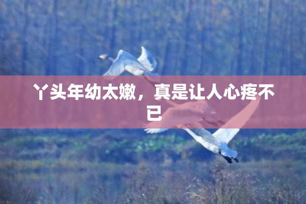丫头年幼太嫩，真是让人心疼不已