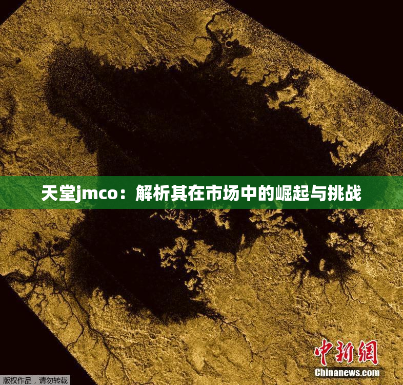 天堂jmco：解析其在市场中的崛起与挑战