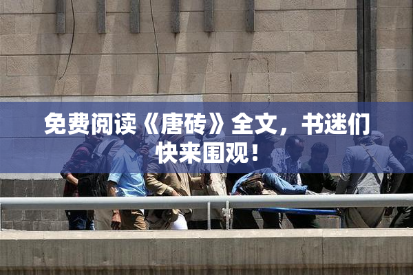 免费阅读《唐砖》全文，书迷们快来围观！