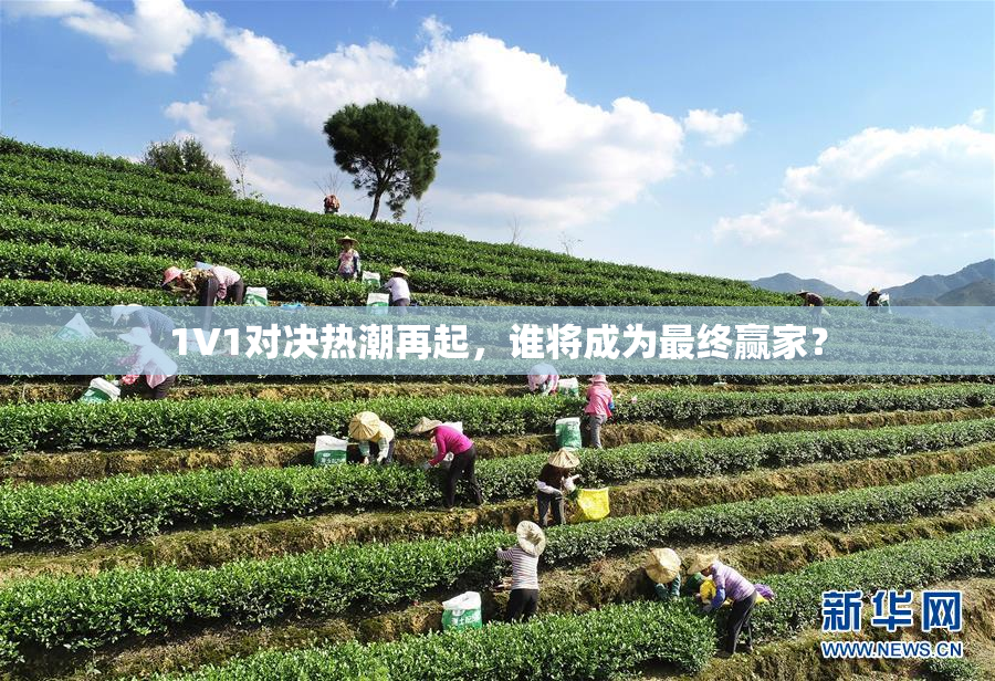1V1对决热潮再起，谁将成为最终赢家？