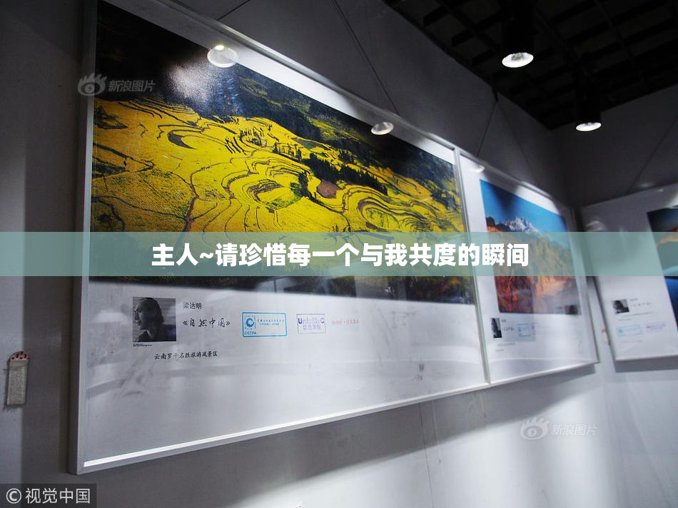 主人~请珍惜每一个与我共度的瞬间