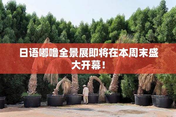 日语嘟噜全景展即将在本周末盛大开幕！