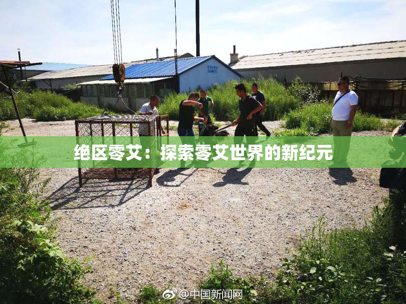 绝区零艾：探索零艾世界的新纪元