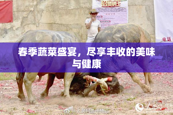 春季蔬菜盛宴，尽享丰收的美味与健康