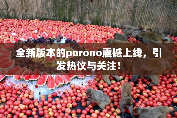 全新版本的porono震撼上线，引发热议与关注！