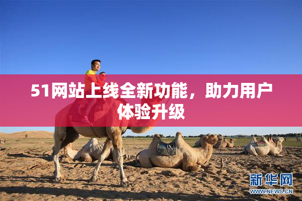 51网站上线全新功能，助力用户体验升级