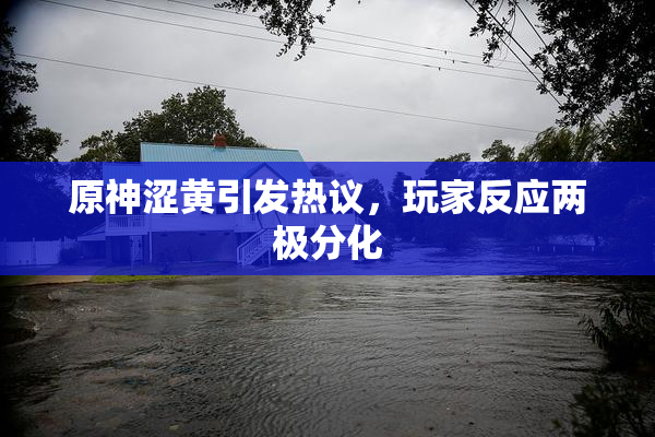 原神涩黄引发热议，玩家反应两极分化