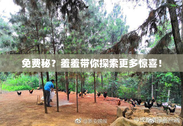 免费秘？羞羞带你探索更多惊喜！