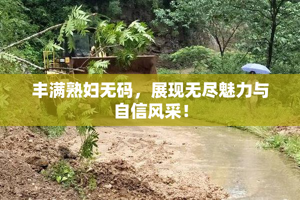 丰满熟妇无码，展现无尽魅力与自信风采！
