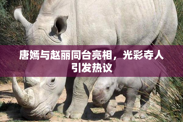 唐嫣与赵丽同台亮相，光彩夺人引发热议