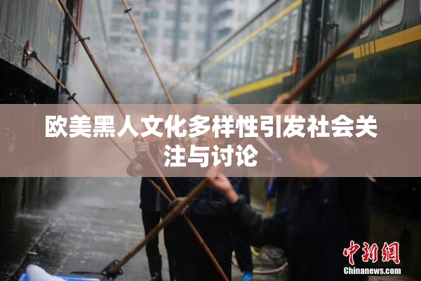 欧美黑人文化多样性引发社会关注与讨论