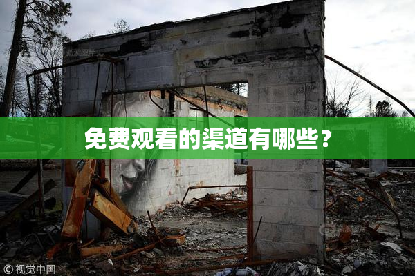 免费观看的渠道有哪些？