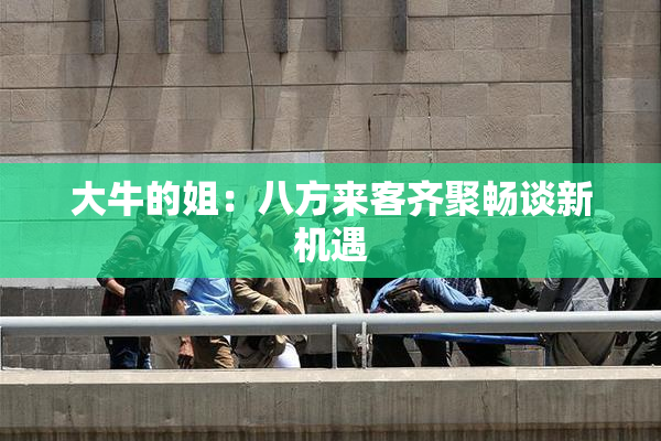 大牛的姐：八方来客齐聚畅谈新机遇
