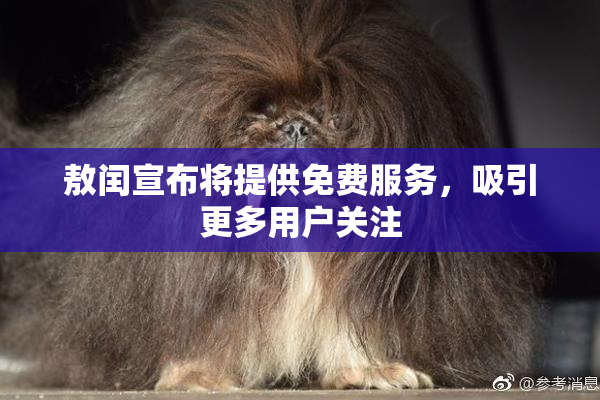 敖闰宣布将提供免费服务，吸引更多用户关注