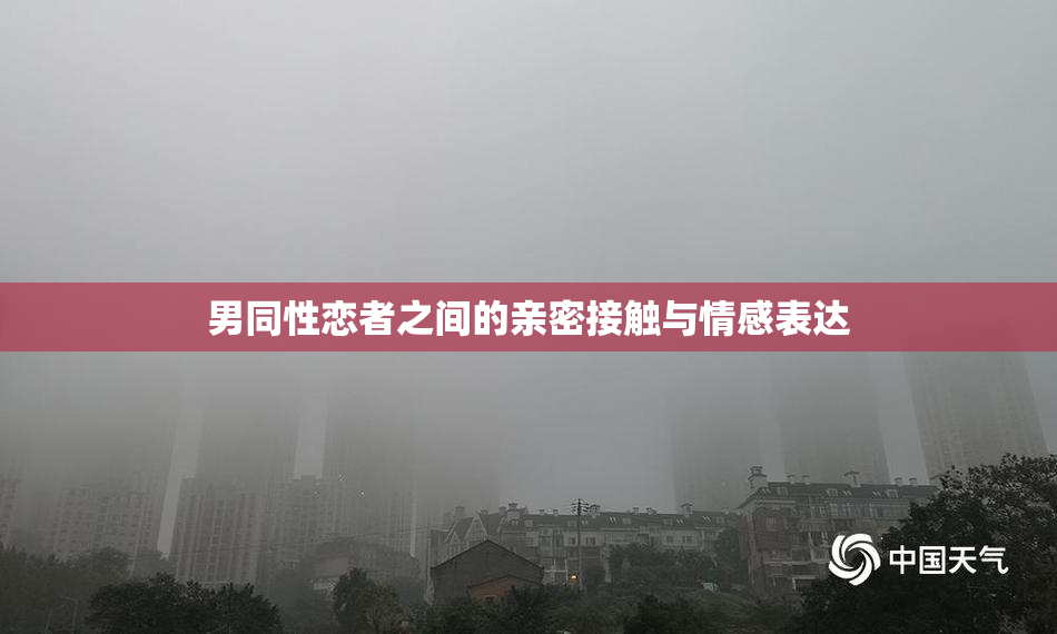 男同性恋者之间的亲密接触与情感表达