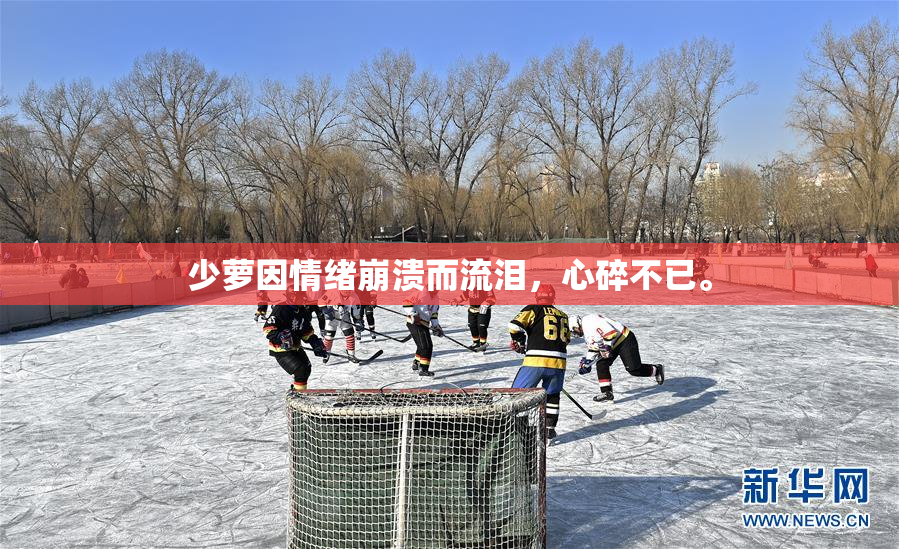 少萝因情绪崩溃而流泪，心碎不已。