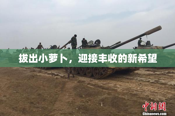 拔出小萝卜，迎接丰收的新希望