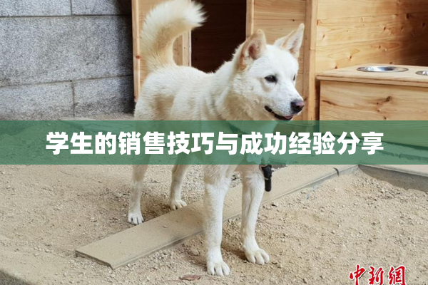 学生的销售技巧与成功经验分享