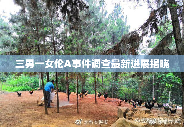 三男一女伦A事件调查最新进展揭晓