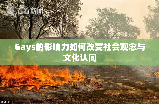 Gays的影响力如何改变社会观念与文化认同