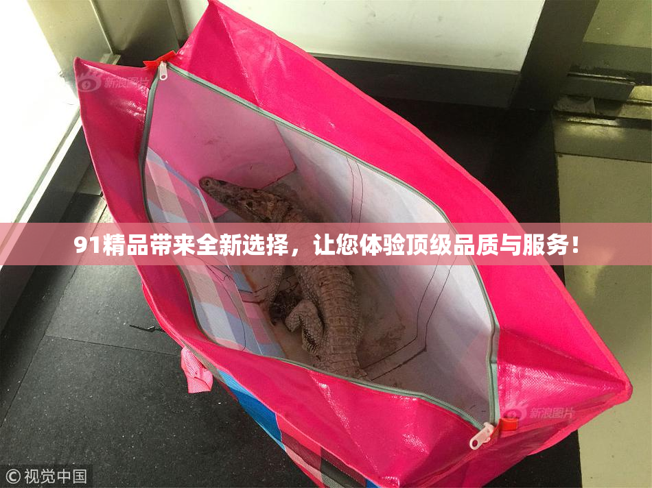 91精品带来全新选择，让您体验顶级品质与服务！