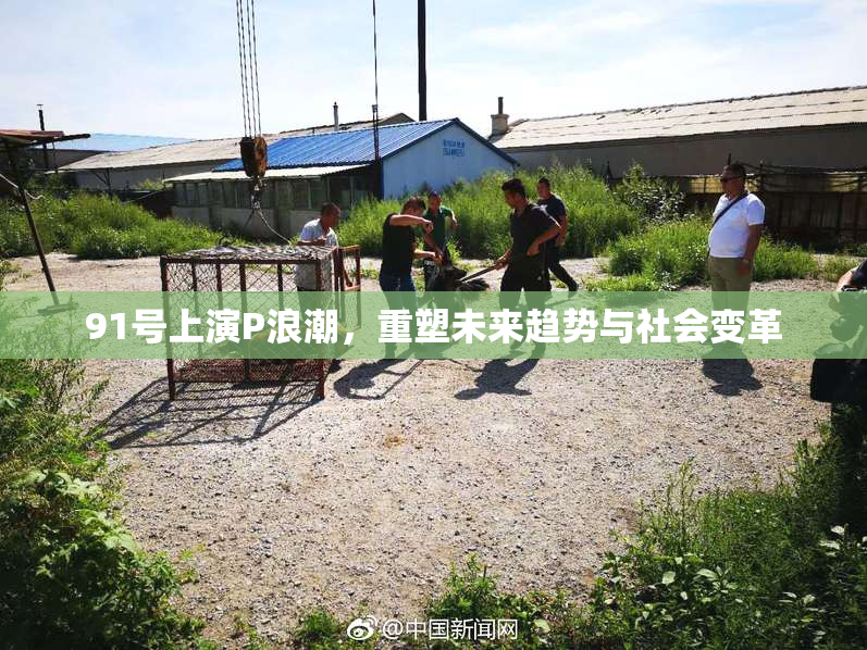 91号上演P浪潮，重塑未来趋势与社会变革