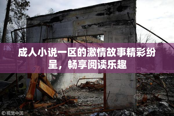 成人小说一区的激情故事精彩纷呈，畅享阅读乐趣