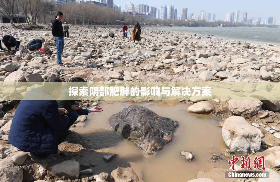 探索阴部肥胖的影响与解决方案