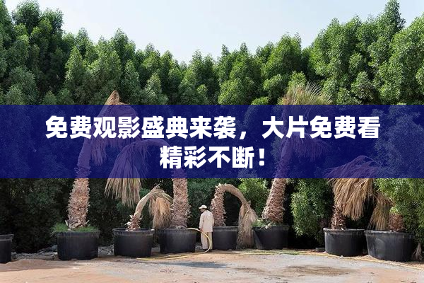 免费观影盛典来袭，大片免费看精彩不断！