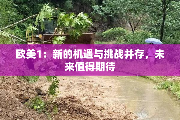 欧美1：新的机遇与挑战并存，未来值得期待
