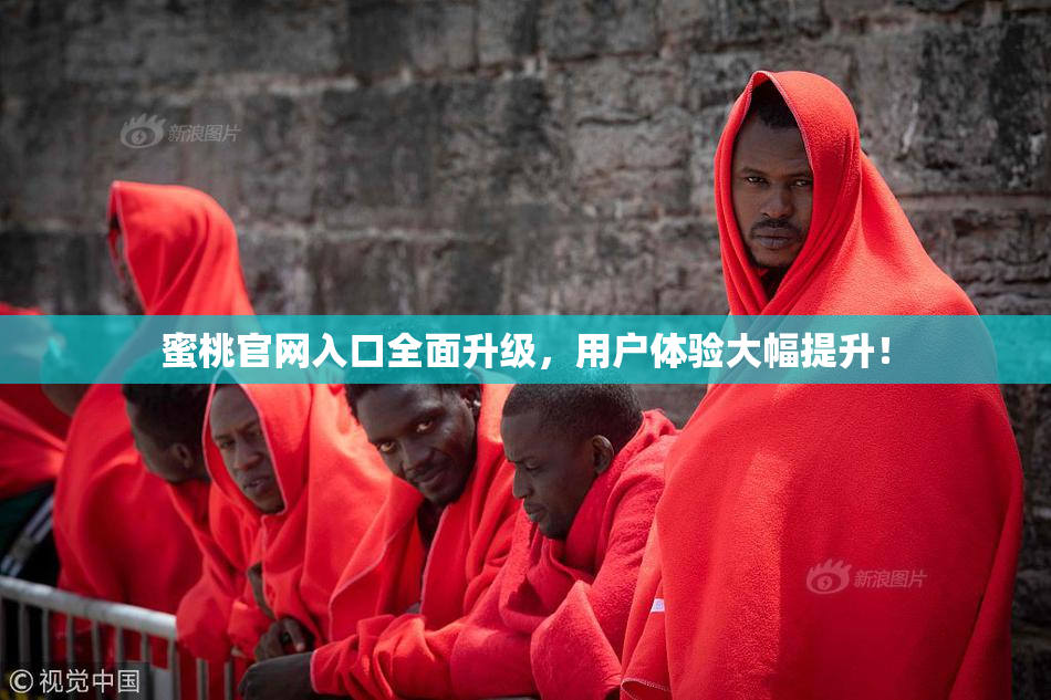 蜜桃官网入口全面升级，用户体验大幅提升！