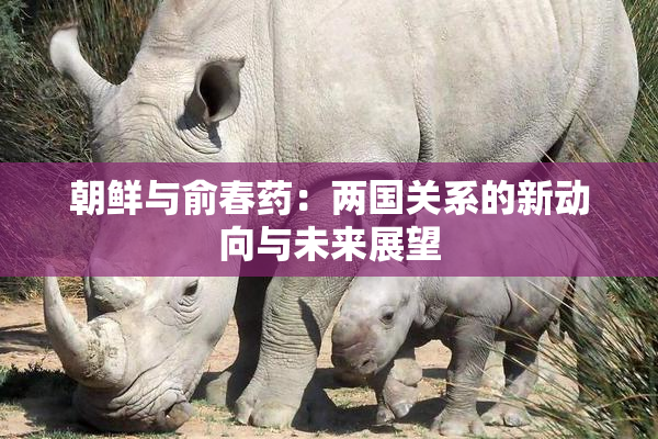 朝鲜与俞春药：两国关系的新动向与未来展望