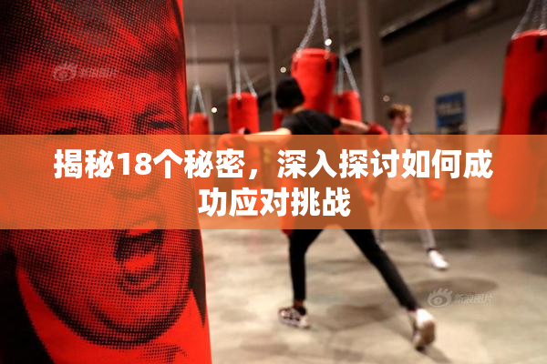 揭秘18个秘密，深入探讨如何成功应对挑战