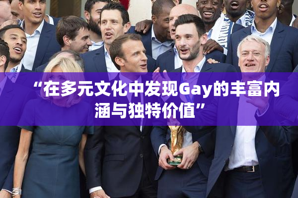 “在多元文化中发现Gay的丰富内涵与独特价值”