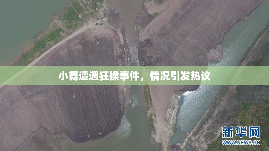 小舞遭遇狂揉事件，情况引发热议
