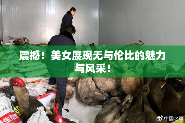 震撼！美女展现无与伦比的魅力与风采！