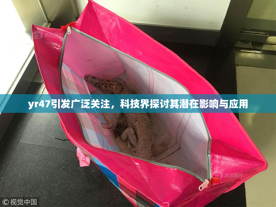 yr47引发广泛关注，科技界探讨其潜在影响与应用