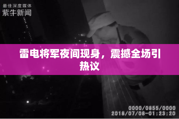 雷电将军夜间现身，震撼全场引热议