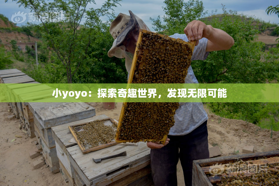 小yoyo：探索奇趣世界，发现无限可能