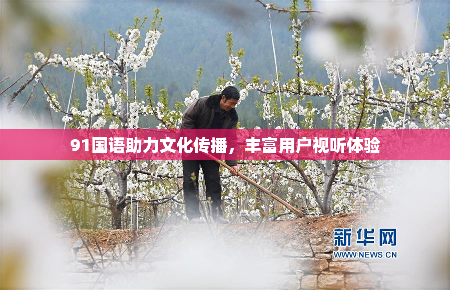 91国语助力文化传播，丰富用户视听体验