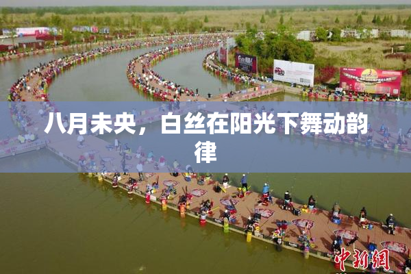 八月未央，白丝在阳光下舞动韵律