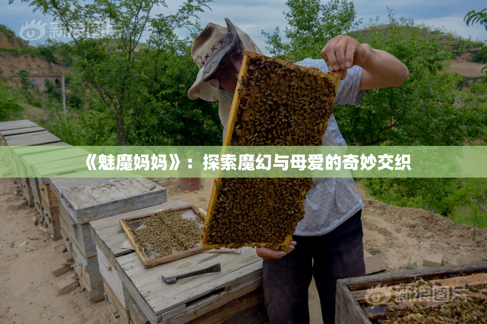 《魅魔妈妈》：探索魔幻与母爱的奇妙交织