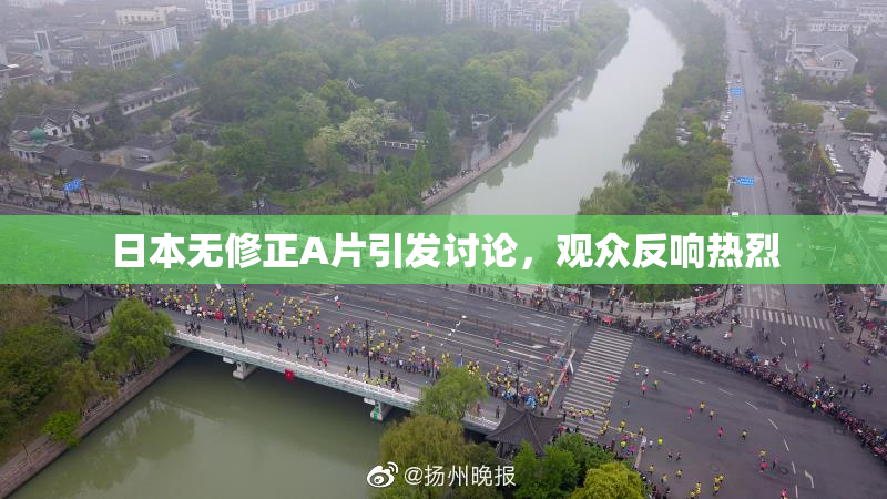 日本无修正A片引发讨论，观众反响热烈