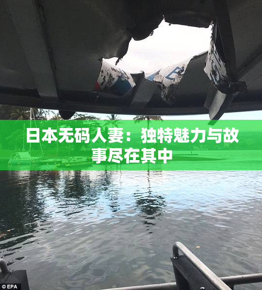 日本无码人妻：独特魅力与故事尽在其中