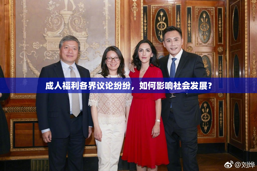 成人福利各界议论纷纷，如何影响社会发展？