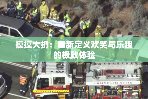摸摸大扔：重新定义欢笑与乐趣的极致体验